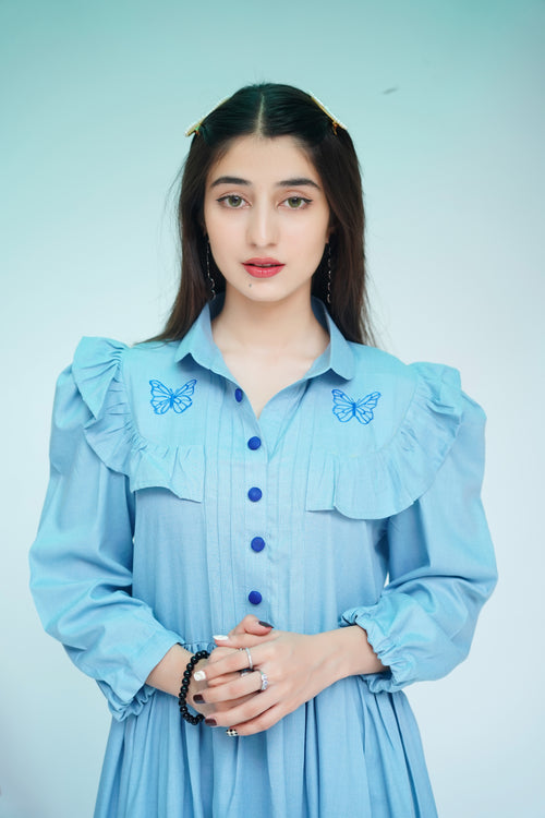 Sky Blue Butterfly Embroidered Frock