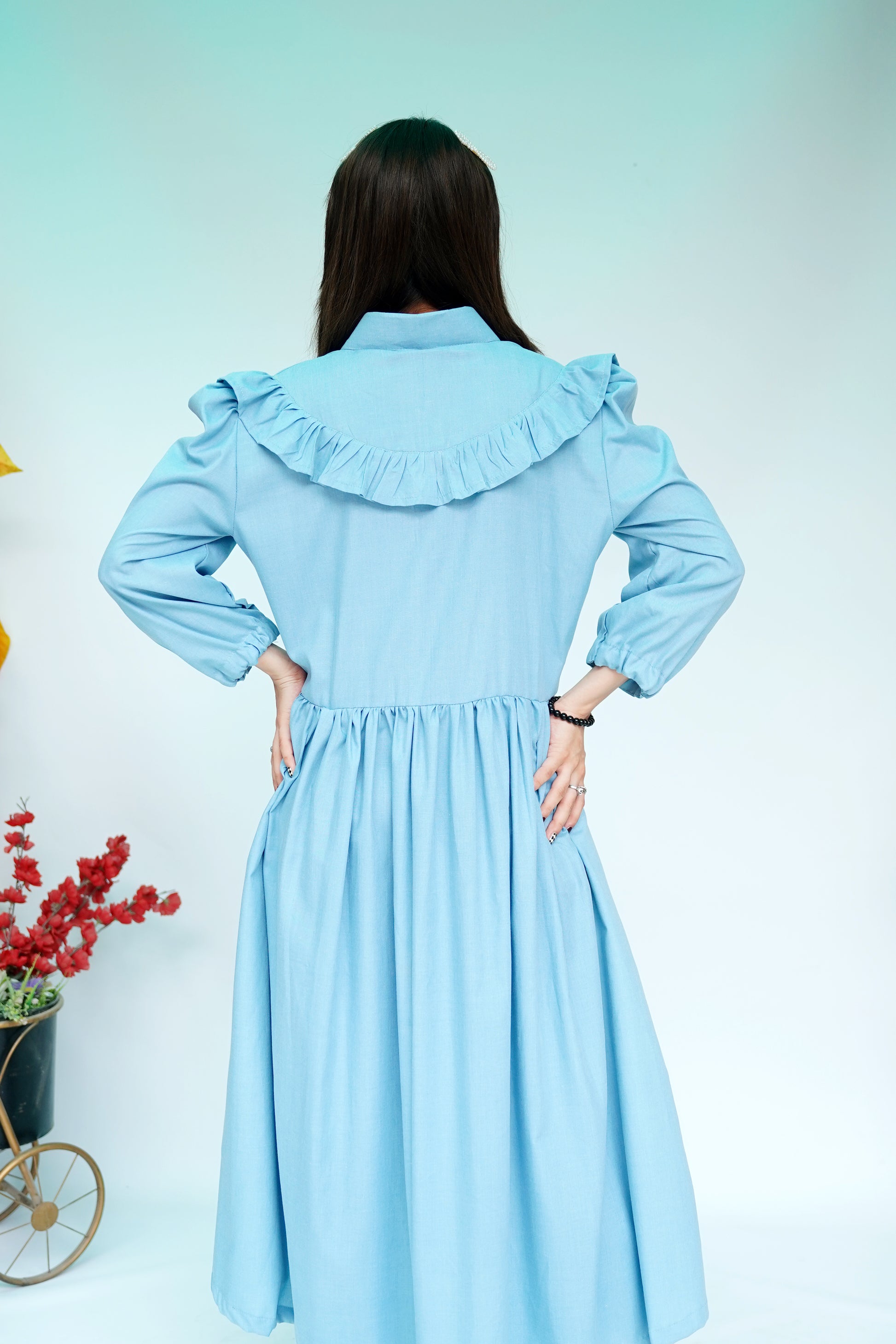 Sky Blue Butterfly Embroidered Frock